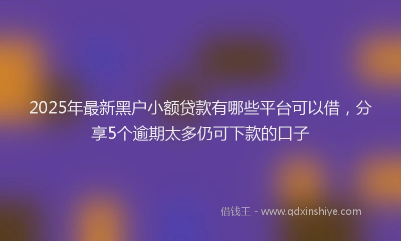 2025年最新黑户小额贷款有哪些平台可以借，分享5个逾期太多仍可下款的口子