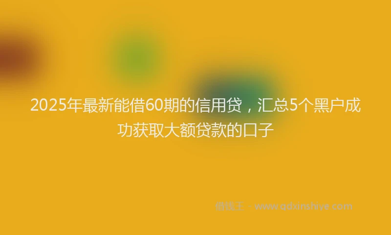 2025年最新能借60期的信用贷，汇总5个黑户成功获取大额贷款的口子