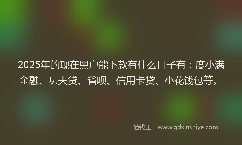 2025年的现在黑户能下款有什么口子有：度小满金融、功夫贷、省呗、信用卡贷、小花钱包等。