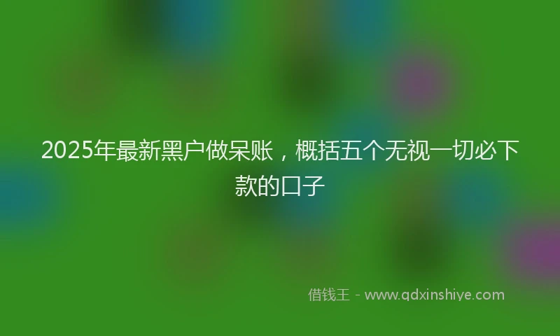 2025年最新黑户做呆账，概括五个无视一切必下款的口子