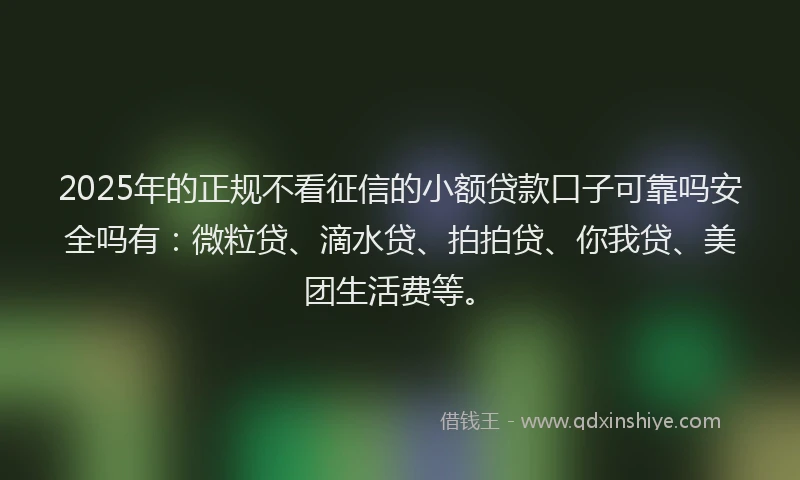 2025年的正规不看征信的小额贷款口子可靠吗安全吗有：微粒贷、滴水贷、拍拍贷、你我贷、美团生活费等。