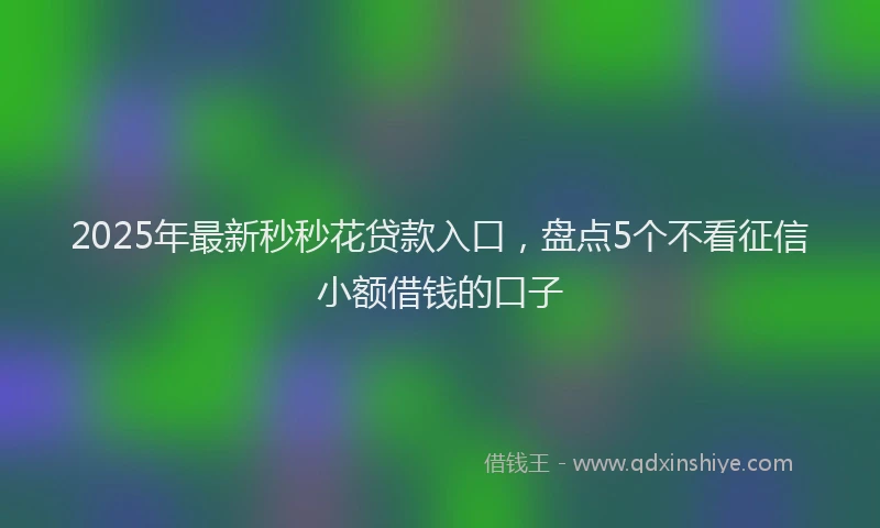 2025年最新秒秒花贷款入口，盘点5个不看征信小额借钱的口子