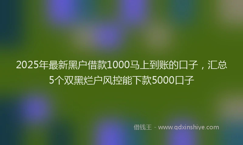 2025年最新黑户借款1000马上到账的口子，汇总5个双黑烂户风控能下款5000口子