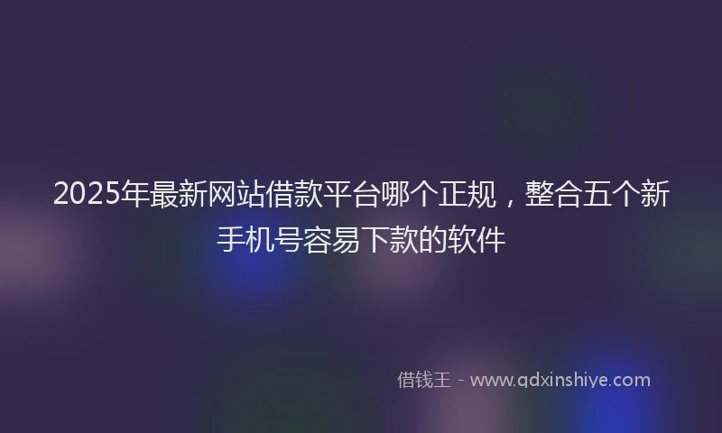 2025年最新网站借款平台哪个正规，整合五个新手机号容易下款的软件