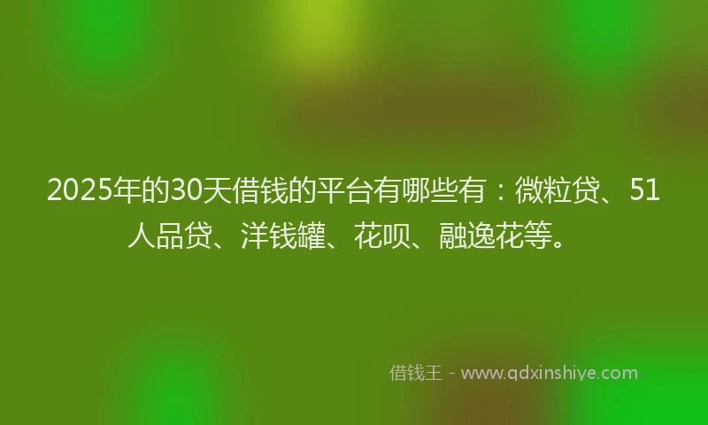 2025年的30天借钱的平台有哪些有：微粒贷、51人品贷、洋钱罐、花呗、融逸花等。