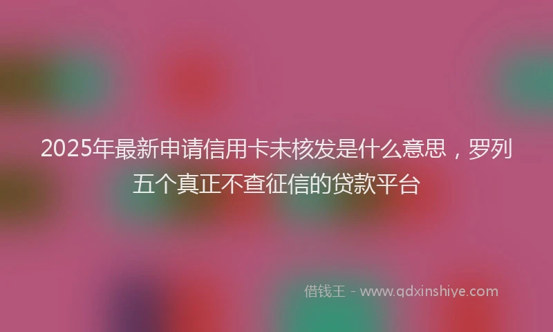 2025年最新申请信用卡未核发是什么意思，罗列五个真正不查征信的贷款平台