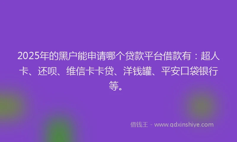 2025年的黑户能申请哪个贷款平台借款有：超人卡、还呗、维信卡卡贷、洋钱罐、平安口袋银行等。