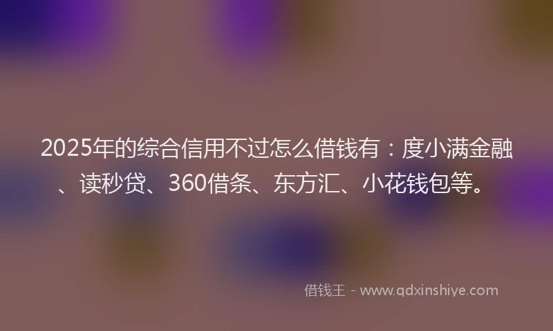 2025年的综合信用不过怎么借钱有：度小满金融、读秒贷、360借条、东方汇、小花钱包等。