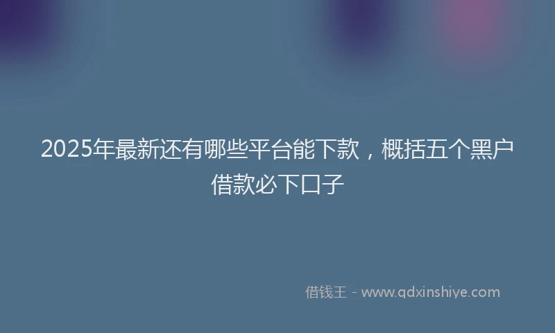 2025年最新还有哪些平台能下款，概括五个黑户借款必下口子