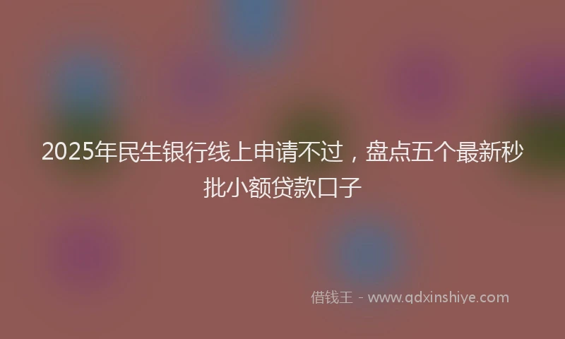 2025年民生银行线上申请不过，盘点五个最新秒批小额贷款口子