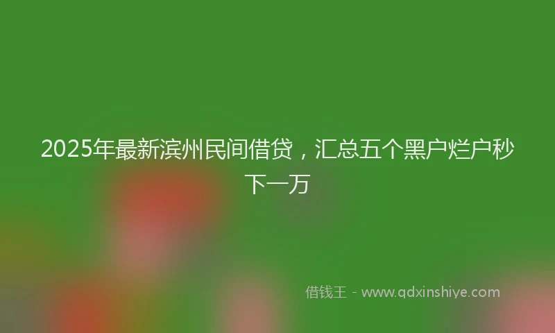2025年最新滨州民间借贷，汇总五个黑户烂户秒下一万