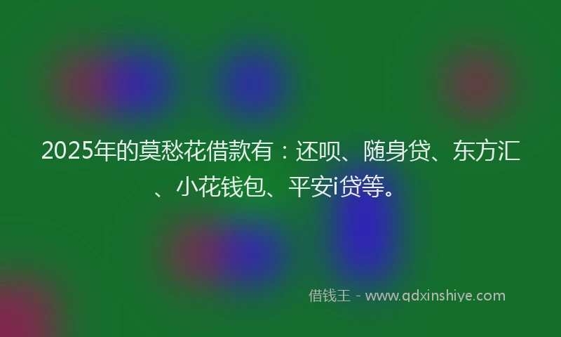2025年的莫愁花借款有：还呗、随身贷、东方汇、小花钱包、平安i贷等。