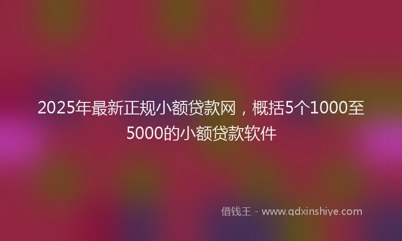 2025年最新正规小额贷款网，概括5个1000至5000的小额贷款软件