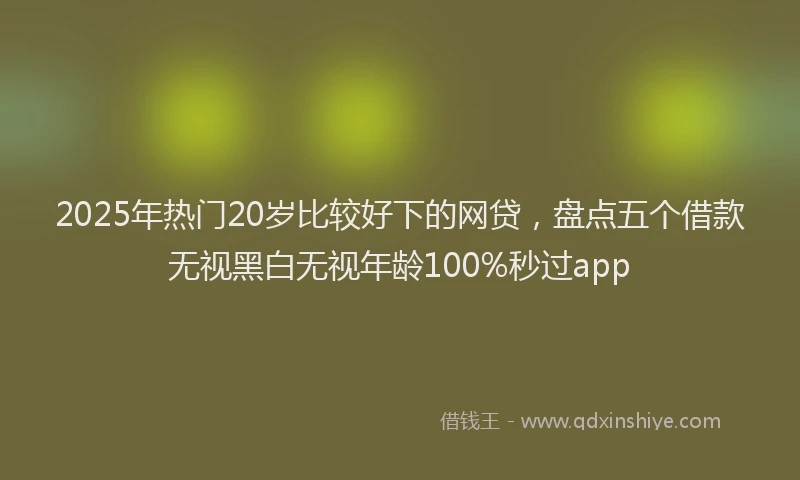 2025年热门20岁比较好下的网贷，盘点五个借款无视黑白无视年龄100%秒过app
