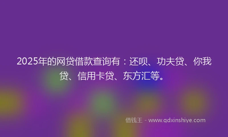 2025年的网贷借款查询有：还呗、功夫贷、你我贷、信用卡贷、东方汇等。