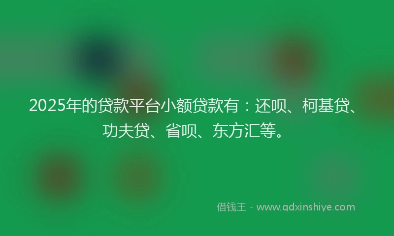 2025年的贷款平台小额贷款有：还呗、柯基贷、功夫贷、省呗、东方汇等。