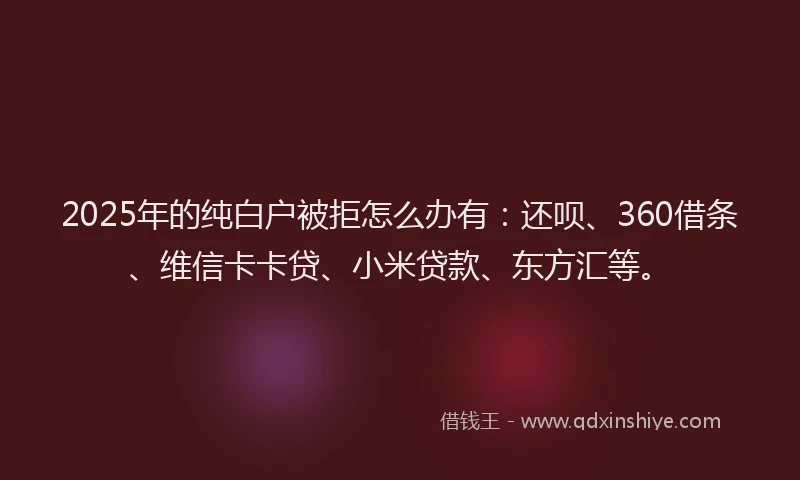 2025年的纯白户被拒怎么办有：还呗、360借条、维信卡卡贷、小米贷款、东方汇等。