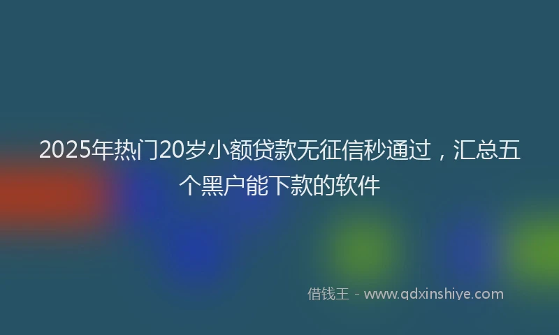 2025年热门20岁小额贷款无征信秒通过，汇总五个黑户能下款的软件