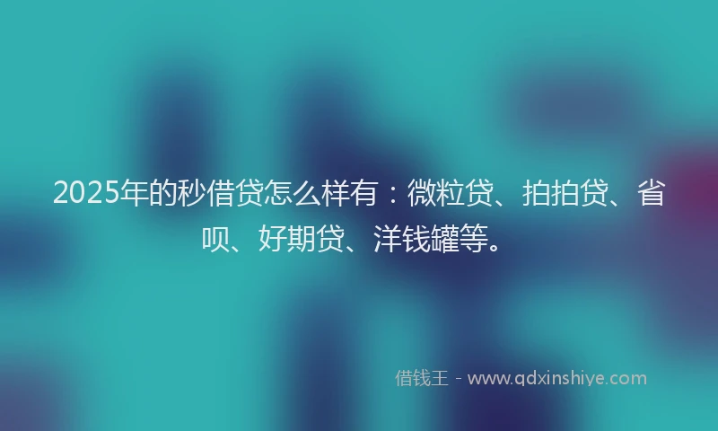 2025年的秒借贷怎么样有：微粒贷、拍拍贷、省呗、好期贷、洋钱罐等。