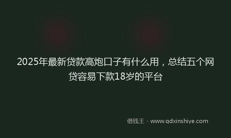 2025年最新贷款高炮口子有什么用，总结五个网贷容易下款18岁的平台