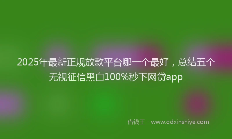 2025年最新正规放款平台哪一个最好，总结五个无视征信黑白100%秒下网贷app
