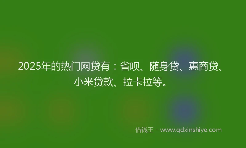 2025年的热门网贷有：省呗、随身贷、惠商贷、小米贷款、拉卡拉等。