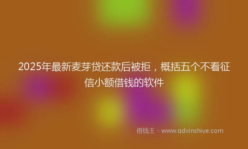 2025年最新麦芽贷还款后被拒，概括五个不看征信小额借钱的软件