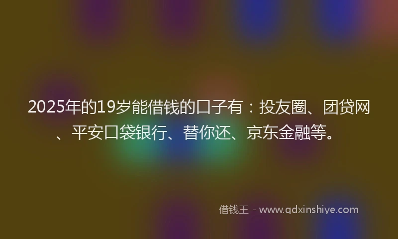 2025年的19岁能借钱的口子有：投友圈、团贷网、平安口袋银行、替你还、京东金融等。