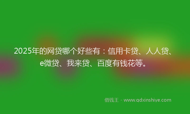 2025年的网贷哪个好些有：信用卡贷、人人贷、e微贷、我来贷、百度有钱花等。
