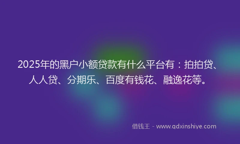 2025年的黑户小额贷款有什么平台有：拍拍贷、人人贷、分期乐、百度有钱花、融逸花等。