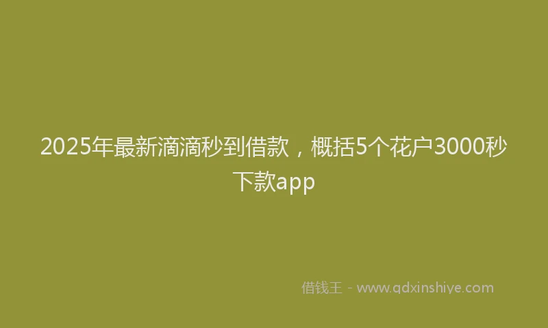 2025年最新滴滴秒到借款，概括5个花户3000秒下款app