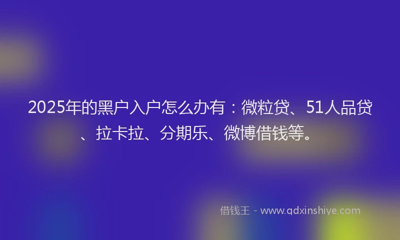 2025年的黑户入户怎么办有：微粒贷、51人品贷、拉卡拉、分期乐、微博借钱等。