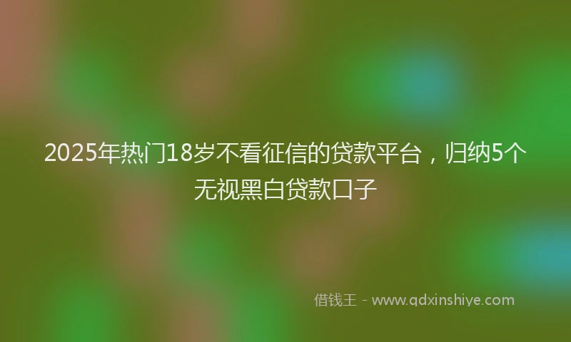 2025年热门18岁不看征信的贷款平台，归纳5个无视黑白贷款口子
