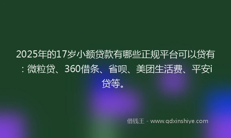 2025年的17岁小额贷款有哪些正规平台可以贷有：微粒贷、360借条、省呗、美团生活费、平安i贷等。