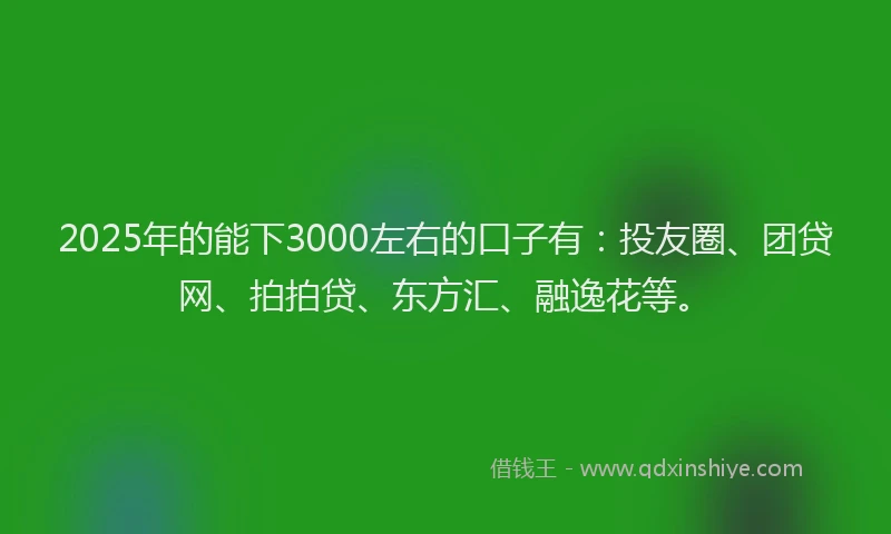 2025年的能下3000左右的口子有：投友圈、团贷网、拍拍贷、东方汇、融逸花等。