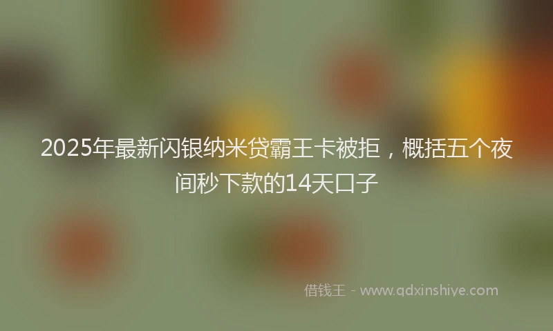 2025年最新闪银纳米贷霸王卡被拒，概括五个夜间秒下款的14天口子