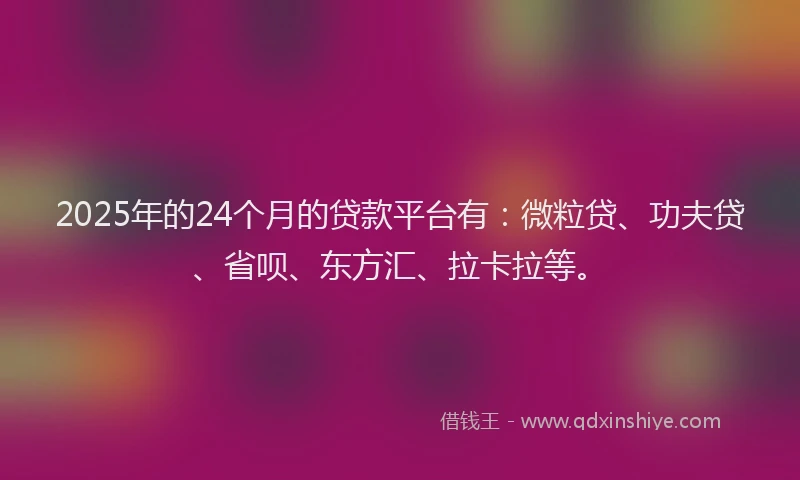 2025年的24个月的贷款平台有：微粒贷、功夫贷、省呗、东方汇、拉卡拉等。
