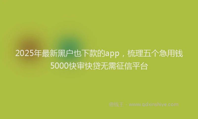 2025年最新黑户也下款的app，梳理五个急用钱5000快审快贷无需征信平台