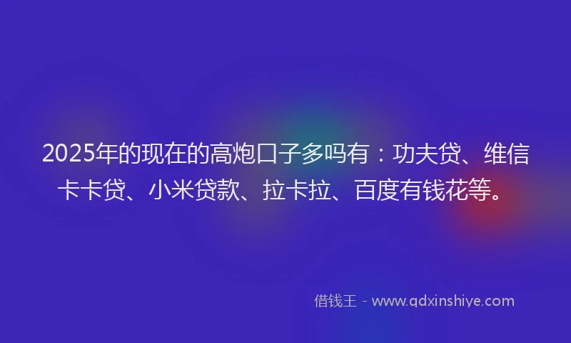 2025年的现在的高炮口子多吗有：功夫贷、维信卡卡贷、小米贷款、拉卡拉、百度有钱花等。
