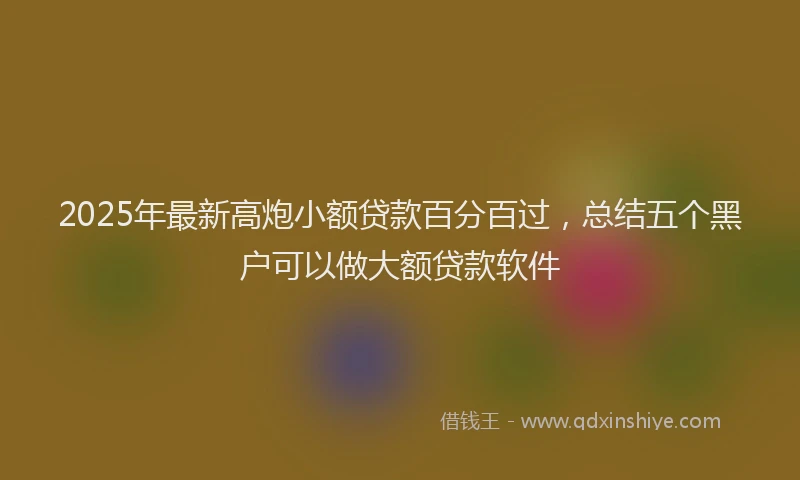 2025年最新高炮小额贷款百分百过，总结五个黑户可以做大额贷款软件