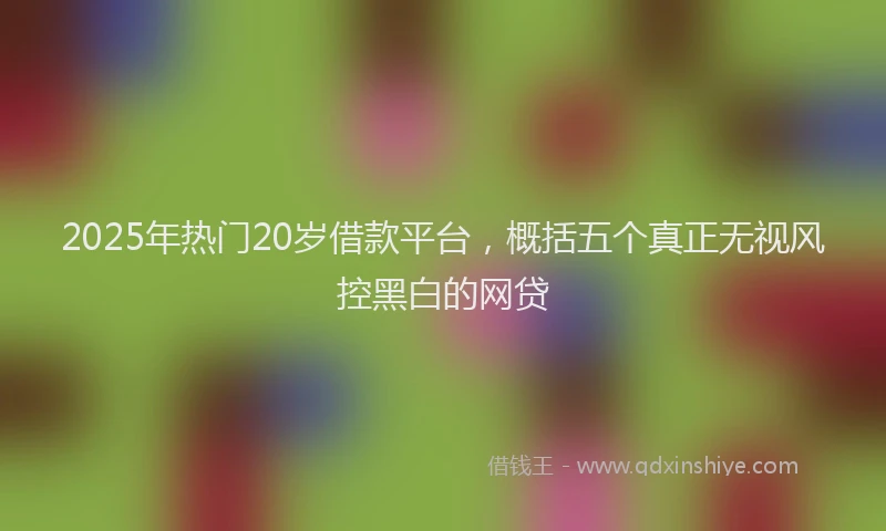 2025年热门20岁借款平台，概括五个真正无视风控黑白的网贷