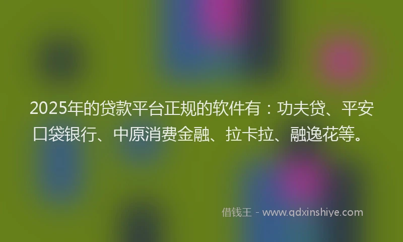 2025年的贷款平台正规的软件有：功夫贷、平安口袋银行、中原消费金融、拉卡拉、融逸花等。