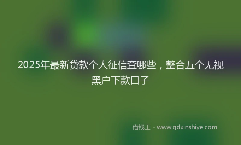 2025年最新贷款个人征信查哪些，整合五个无视黑户下款口子