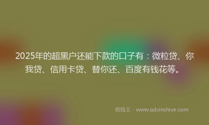 2025年的超黑户还能下款的口子有：微粒贷、你我贷、信用卡贷、替你还、百度有钱花等。