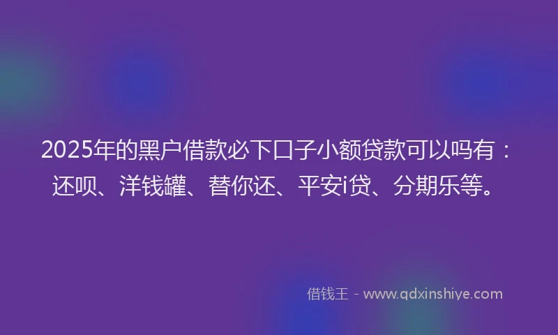 2025年的黑户借款必下口子小额贷款可以吗有：还呗、洋钱罐、替你还、平安i贷、分期乐等。