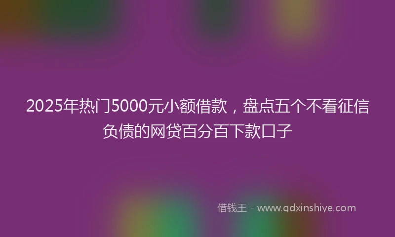 2025年热门5000元小额借款，盘点五个不看征信负债的网贷百分百下款口子