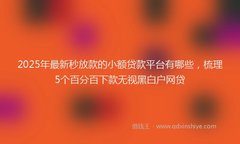2025年最新秒放款的小额贷款平台有哪些，梳理5个百分百下款无视黑白户网贷