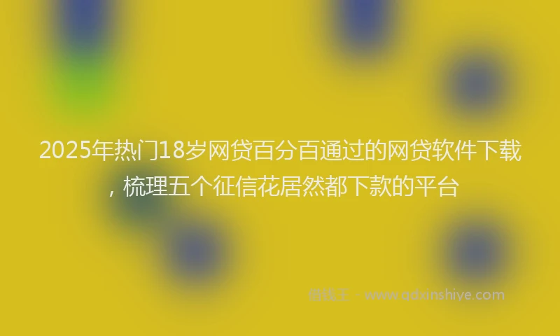 2025年热门18岁网贷百分百通过的网贷软件下载，梳理五个征信花居然都下款的平台