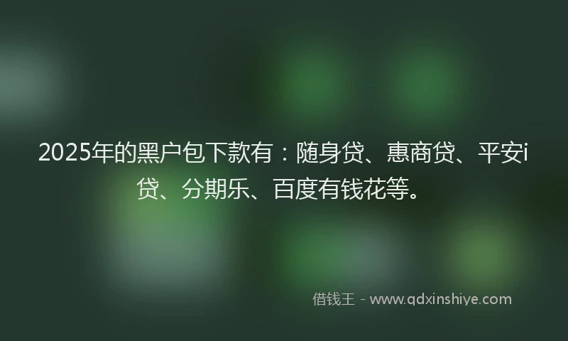 2025年的黑户包下款有：随身贷、惠商贷、平安i贷、分期乐、百度有钱花等。