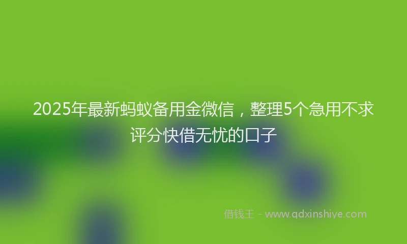 2025年最新蚂蚁备用金微信，整理5个急用不求评分快借无忧的口子